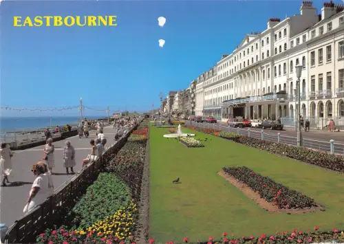 B96884 eastbourne the carpet gardens uk