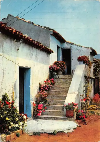 BT2065 Tipico Rustico Frankreich France