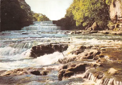BR76256 the lower falls aysgarth yorkshire uk