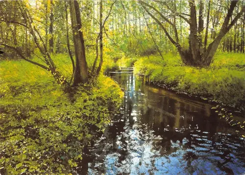 B96772 tillingbourne uk