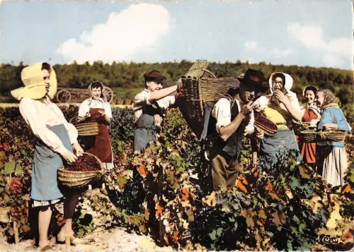 BR49205 Szene de Vendanges Bourguignon Folklore Tracht Frankreich