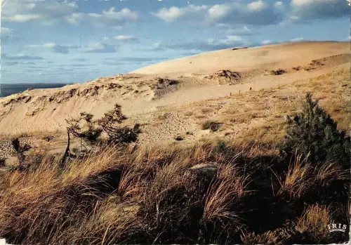BR52669 La dune du pilat la plus haute d europe Bassin d arcachon Frankreich