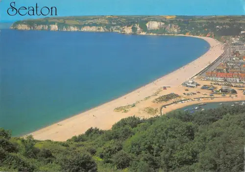 BR90319 Seaton von Haven Cliff UK