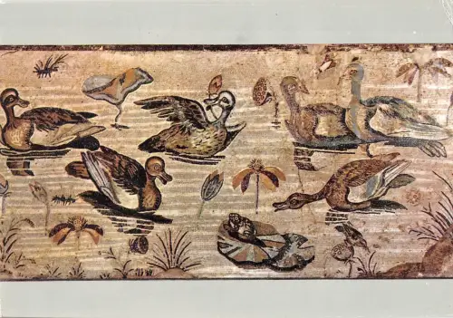 BR86349 Napoli Postkarte Scena Nilotca Mosaico Museo Nazionale Italien