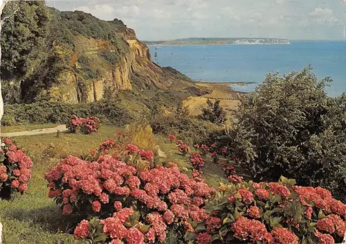 B99788 luccombe chine isle of wight uk