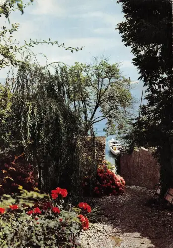 BF205 yvoire une trouee fleurie sur le leman Frankreich