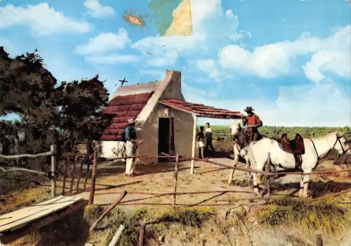BT12787 En Camargue Cabane de gardians Frankreich