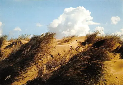BT3758 Les Grandes Dunes Italy Italy