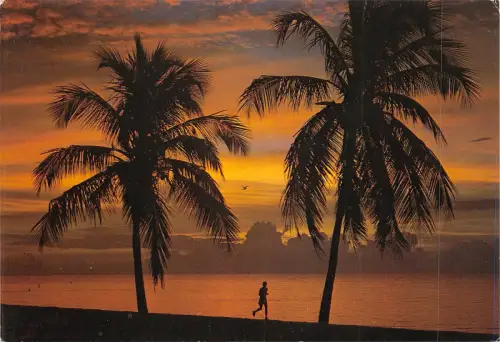 BF1164 florida sunset workout Florida