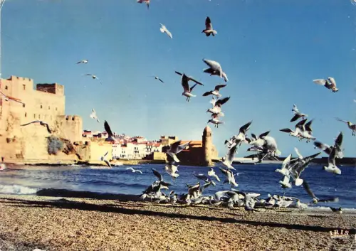 BT12900 Joyau de la cote catalane COlioure France