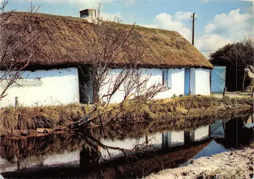 BF1823 au pays des bourines france