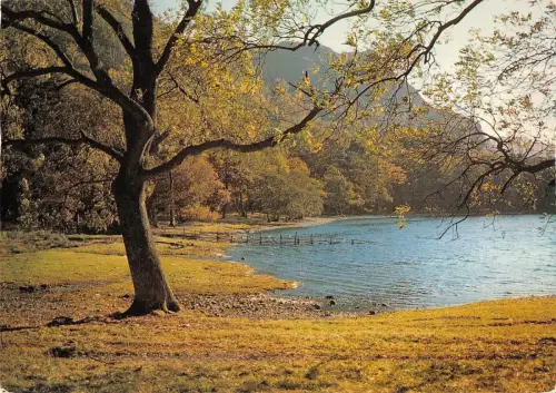 B101923 derwentwater near broomhill point cumberland uk