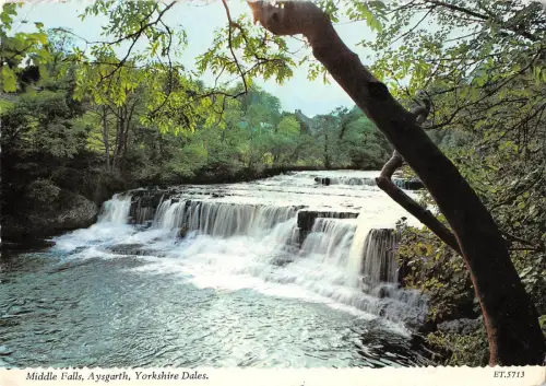B100393 middle falls aysgarth yorkshire dales uk