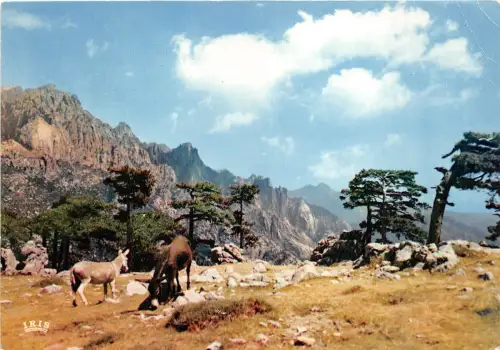 BR31679 Bavella Frankreich