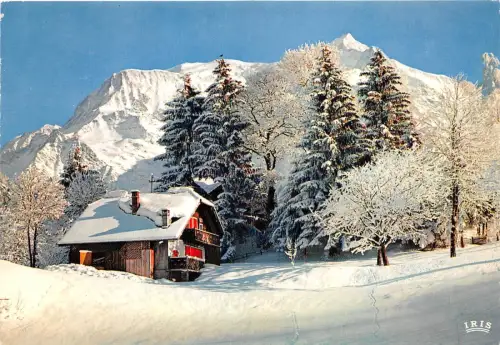 BR22489 Au Pied du Mont Blanc le chalet des Neiges france