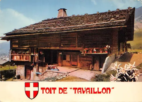 BF207 montagnes toit de tavaillon France