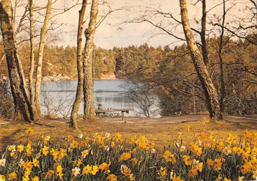 BR83280 the blue pool near wareham uk