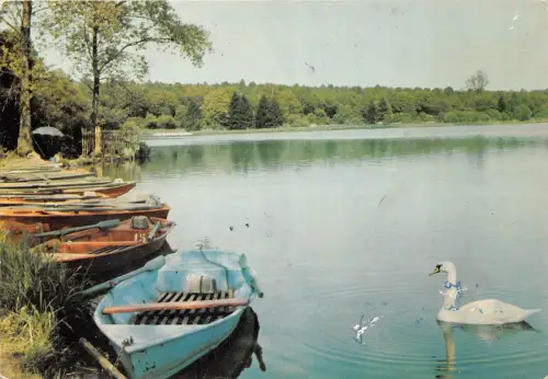 BR22749 Trelon l Etang de Hayon cigne swan france