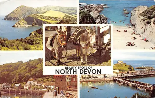 B88284 Beauty Spots of North Devon Donkey UK 14x9cm