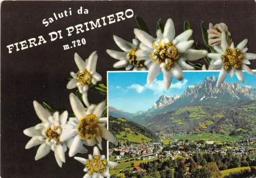 BR22007 Fiera du primiero italy