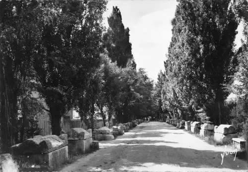 BR51664 Les aliscamps arles Frankreich