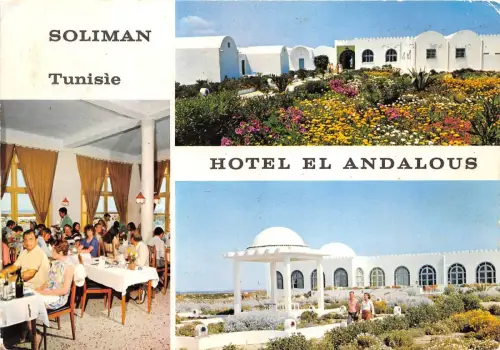 B91138 hotel el andalous soliman plage tunesien