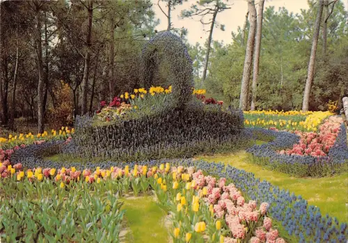 BT8464 la tranche sur mer France