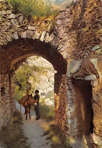 BT6954 Scene typiques de Provence cote d azur France France