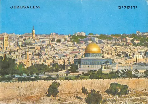 B95399 aus vielen Oliven gesehen Jerusalem Israel