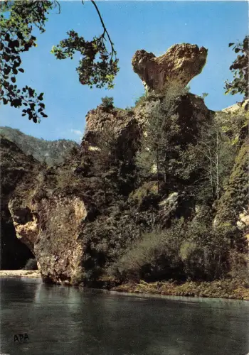 BT5821 Gorges du tarn le champignon Frankreich