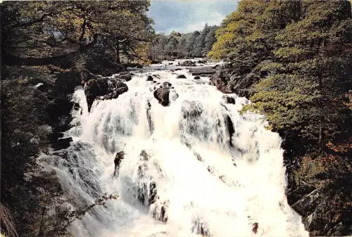 B100703 betws y coed Schwalben fällt Wale