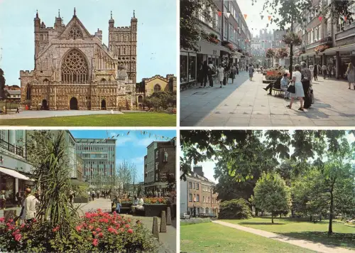 B96848 exeter european floral city uk