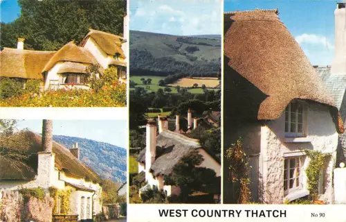 B103697 west country tatch uk