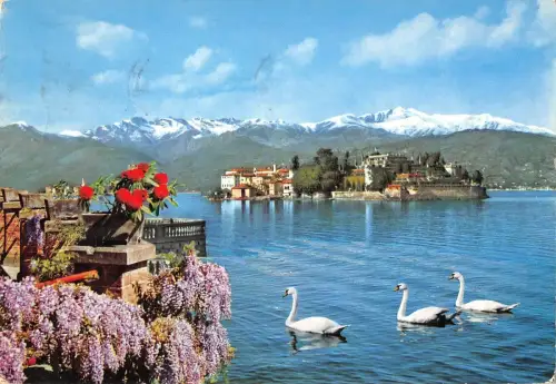 BT3537 isola Bella Lago maggiore Schwan Cigne Italien