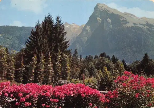 BF468 samoens le criou france