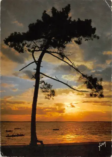 BR52672 Coucher de soleil sur le Bassin d arcachon Frankreich
