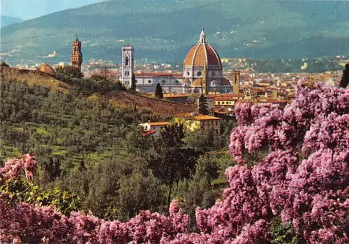 BT1477 Firenze Panorama Italien