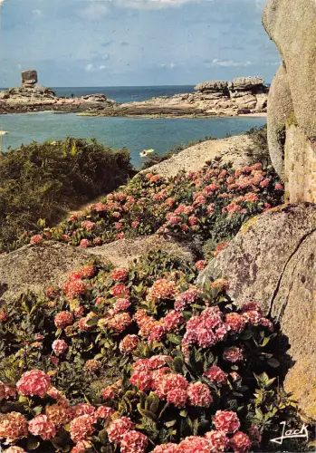 BT8009 Tregastel le de et les crepes Frankreich