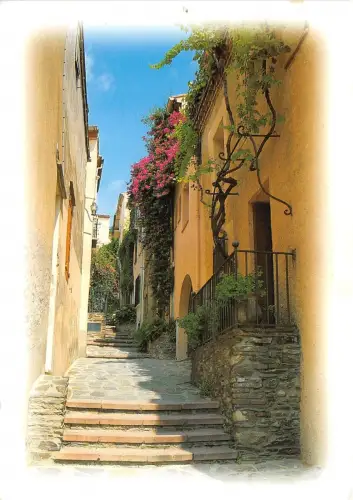 BR31379 Collioure La Rue Dugommier Frankreich