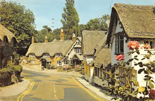 B103560 the old village shanklin isle of wight uk