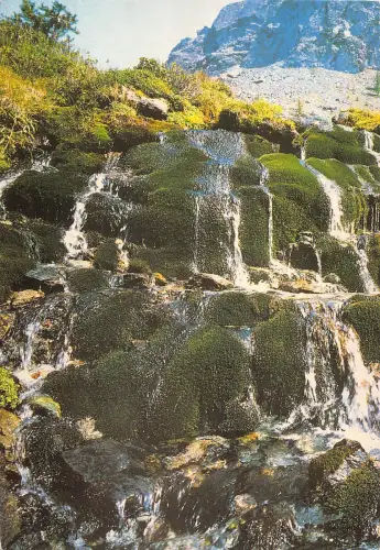 BT0125 vale d aosta champorcher Italy