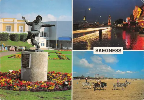 B96973 skegness donkey uk