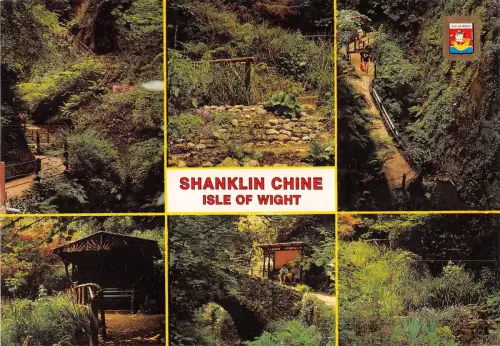 BR82823 shanklin chine isle of wight uk