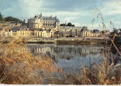 BT10630 le chateau amboise Frankreich
