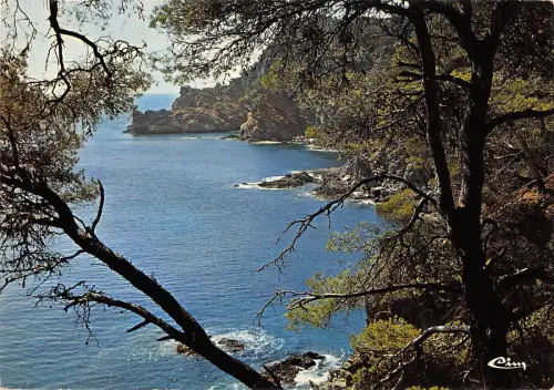 BT7048 La Grande Cale cote d azur Frankreich