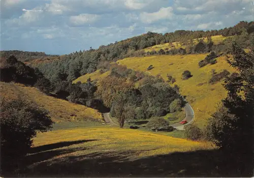 BR90911 Box Hill Surrey UK