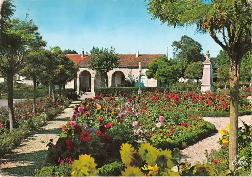 BR53264 Ile Doleron le chateau Frankreich