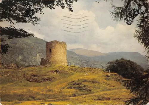 BR82450 Dolbadarnn Castle Gwynedd Wales
