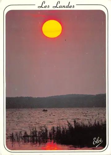 BR31434 Les landes landschaft frankreich