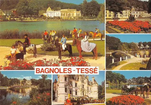 BT7708 Pferde chevaux Tesse Bagnoles de l Orne France